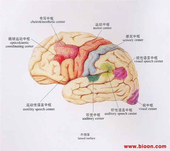 醫(yī)用一次性灌腸器 醫(yī)用一次性灌腸器